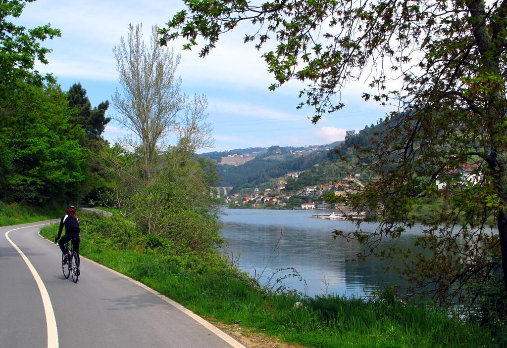 Quinta De Gildinho Villa Eksteriør bilde