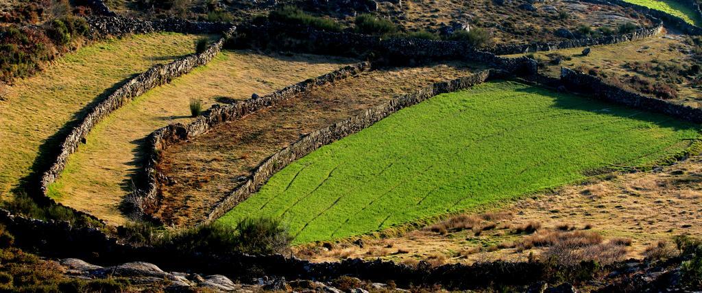 Quinta De Gildinho Villa Eksteriør bilde