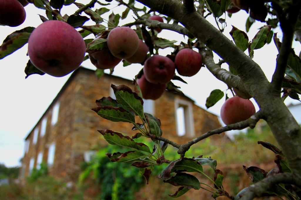 Quinta De Gildinho Villa Eksteriør bilde